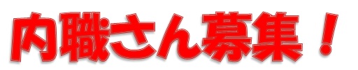 Image title