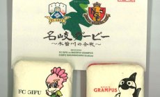 OEM事例集!名古屋グランパス×FC岐阜 名岐ダー...